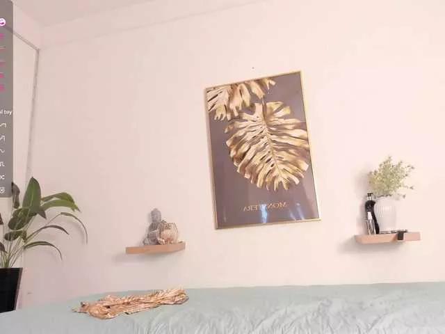 amina-hafssa from BongaCams