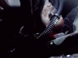 808sweets on CamSoda 